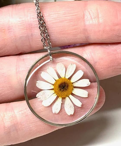 Natural White Daisy Preserved In Resin Pendant